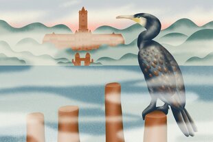 Ein Kormoran und die Gebäude der Mürwiker Marineschule, Illustration